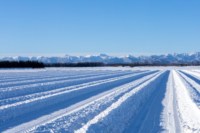 雪国の強い味方！車も除雪機も守れる耐雪ガレージ